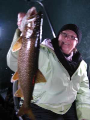 Kathy K with a nice Manitou Trout